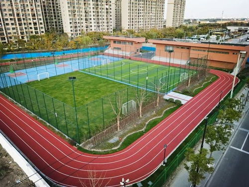 汇聚体育力量，共筑健康青浦——青浦区全民健身体育组织年度工作盘点