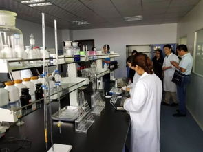 探访酒香深处的体育魂 百家媒体走进河南仰韶酒业